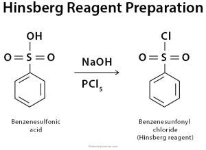 benzene sulphonyl chloride test|hinsberg reagent class 12.